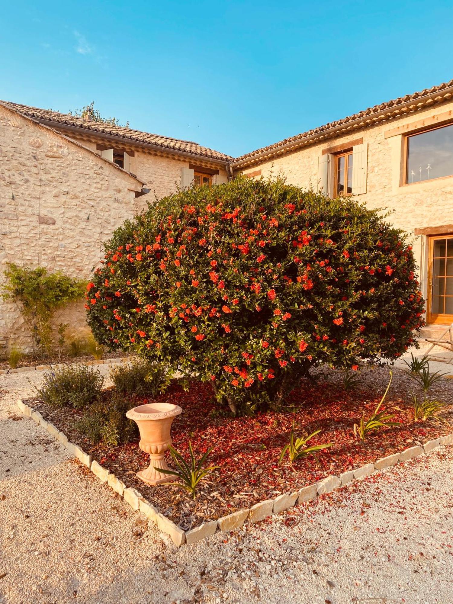 Вилла La Bastide Des Oliviers Provence - Mirabel Aux Baronnies Экстерьер фото