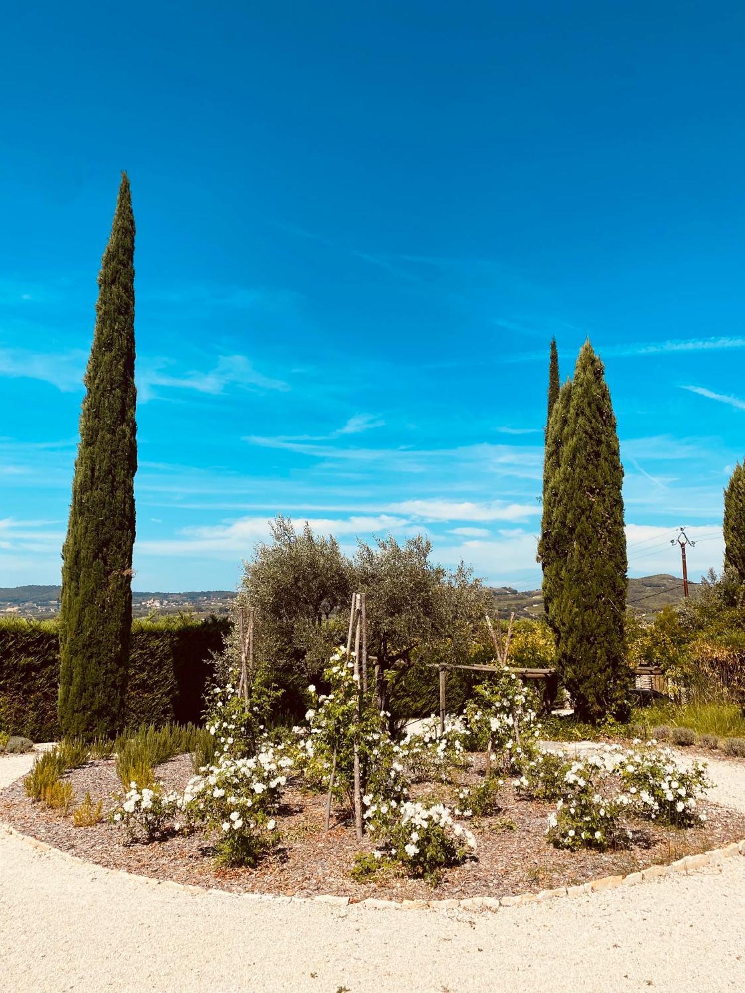 Вилла La Bastide Des Oliviers Provence - Mirabel Aux Baronnies Экстерьер фото